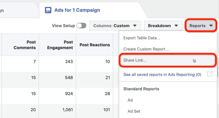 share Facebook ads custom report