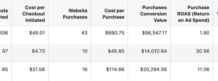 create ROI snapshot custom report in Facebook Ads Manager, step 10