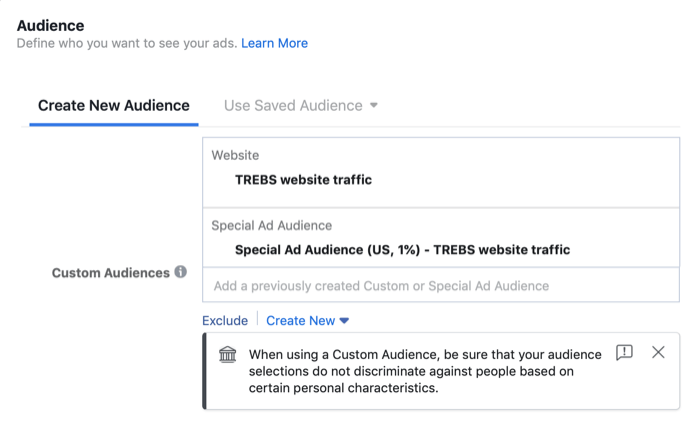 special ad audience in Audience section of Facebook campaign setup