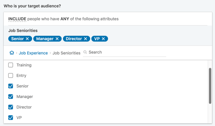 setting up LinkedIn ad targeting for job seniorities