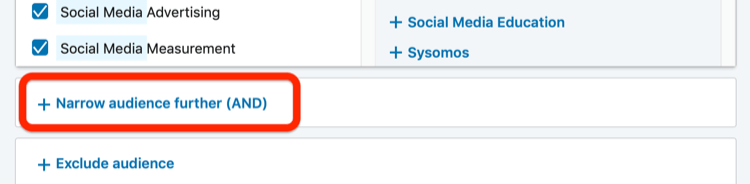 Opción de audiencia restringida adicional (Y) en la sección de audiencia de LinkedIn