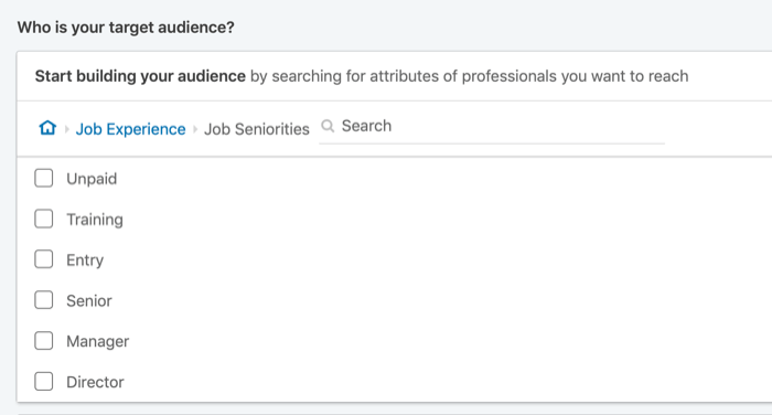 target LinkedIn ads by job seniority