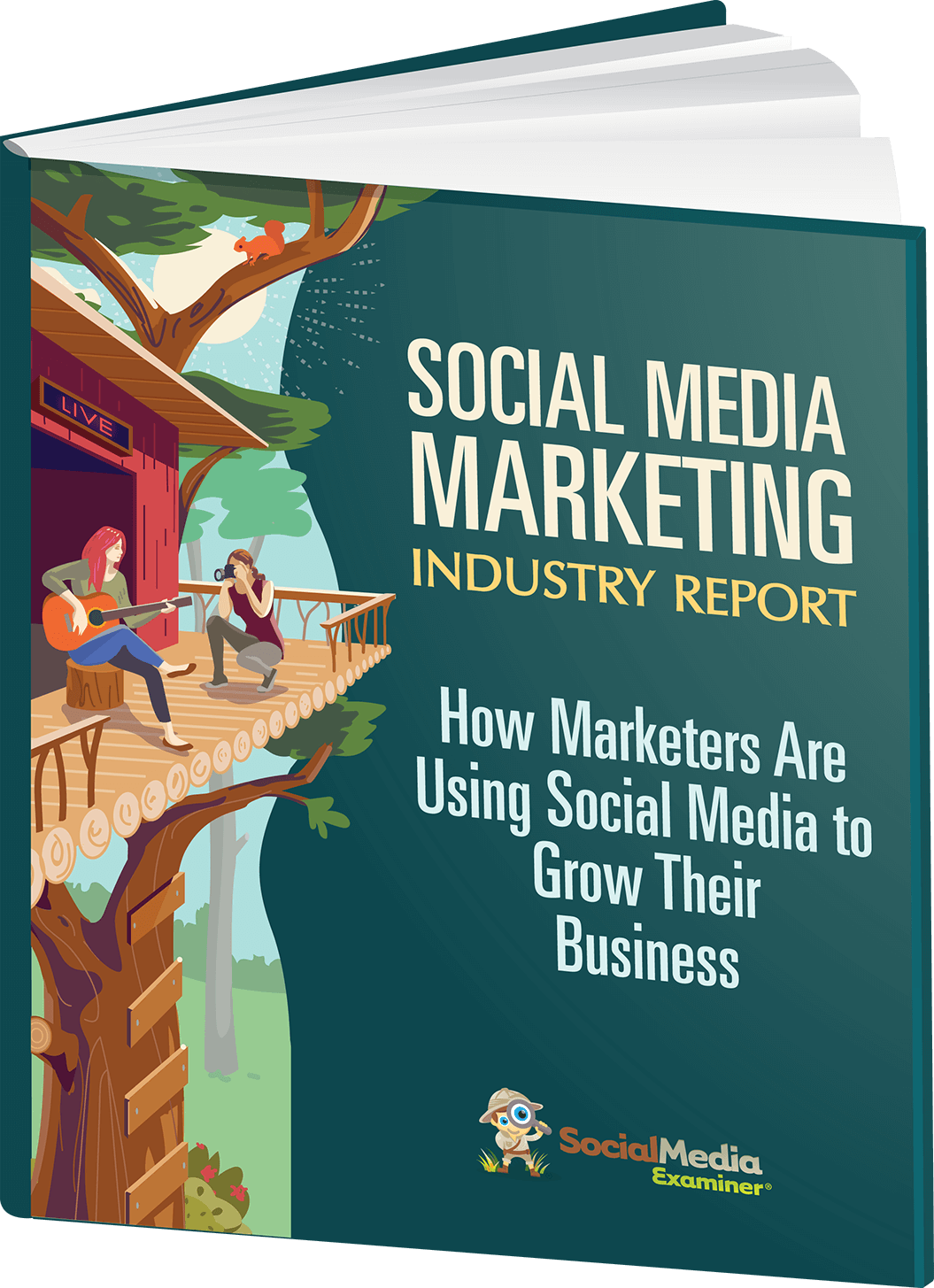 2020 Social Media Marketing Industry Report.
