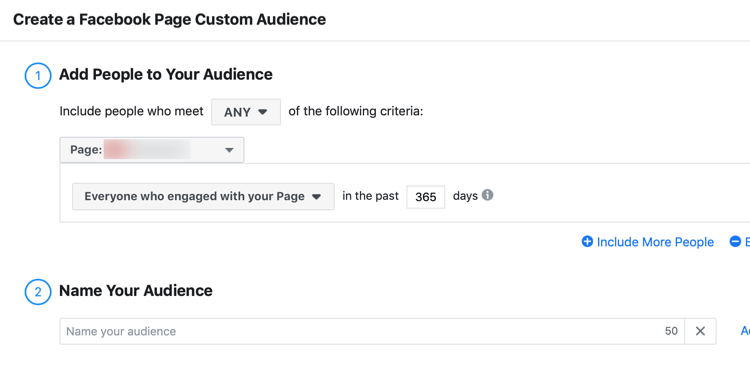 Create a Facebook Page Custom Audience dialog box