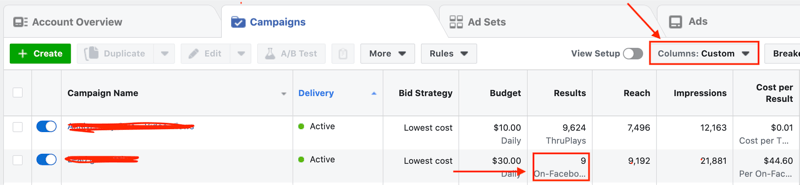 view results for Facebook lead generation campaign