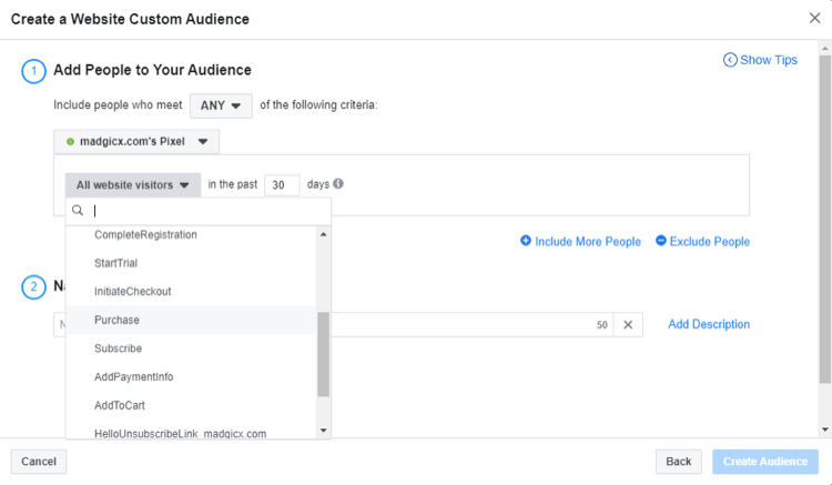 select event for Facebook website custom audience