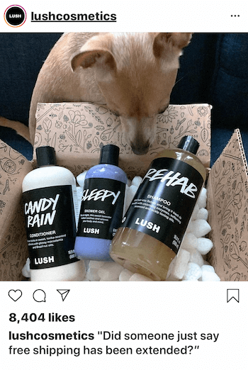 Instagram business post with dog