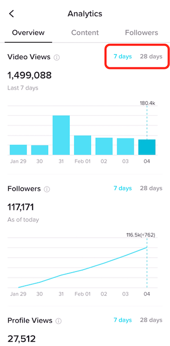 Overview tab in TikTok Analytics