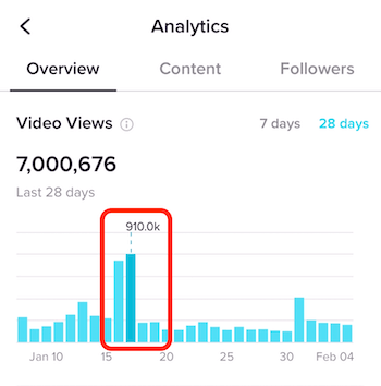 Video Views section on Overview tab in TikTok Analytics