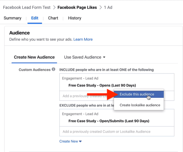 Exclude This Audience option in Audience section of Facebook campaign setup