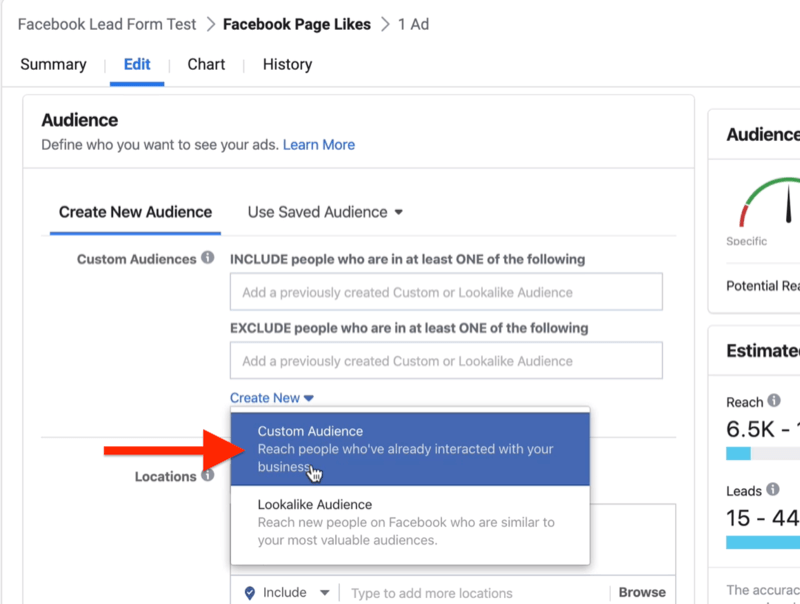 Create New drop-down menu with Custom Audience selected at Ad Set level of Facebook ad campaign