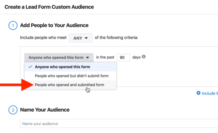 Create a Lead Form Custom Audience window