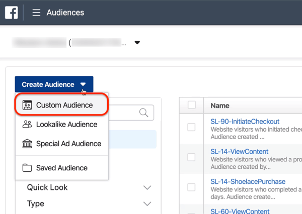 Custom Audience option in Audiences