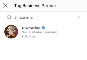 search for business partner to tag in Instagram story