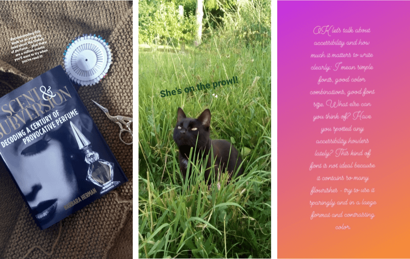 Screenshots of 3 Instagram stories. In the first story, the text is too small to read. The second shows green text against a background photo of a cat sitting in some grass. The third is a text-only story written in very small cursive text.