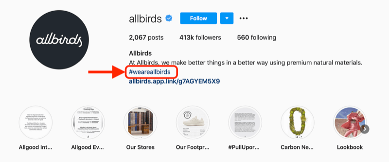 example of a company hashtag included in the profile description of the @allbirds instagram account