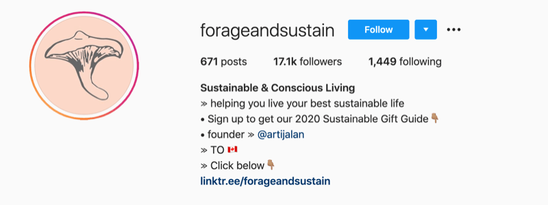 instagram profile example from @forageandsustain with a note in their profile info to click the bio link for more