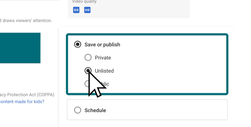 youtube video option to save or publish the video as private, public, or unlisted (which is highlighted)