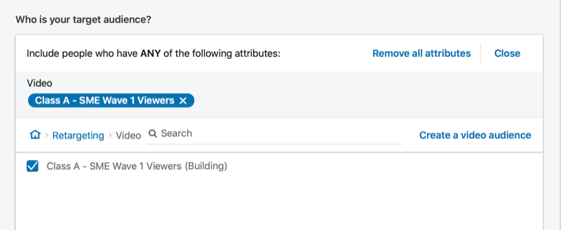 linkedin target audience noted as retargeting with the newly created audience selected