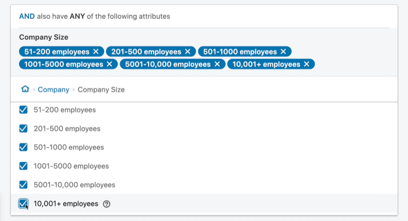 example linkedin ad campaign target audience 'and' attribute set with company size between 51 and 10,001+ employees