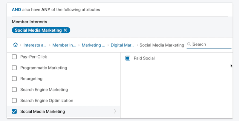 example linkedin ad campaign target audience 'and' attribute set with member interests of social media marketing