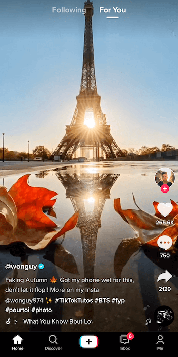 screenshot of tiktok post by @wonguy974 titled faking autumn, showing the eiffel tower in silhouette and the sun setting behind it with it's reflection in a puddle framed by two fall leaves at the bottom of the image