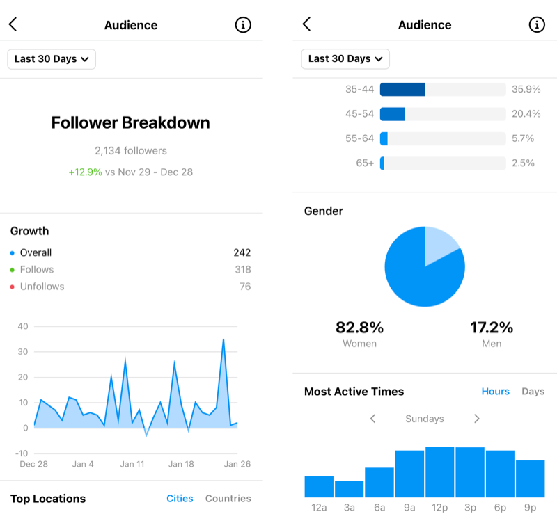 Instagram Professional Dashboard