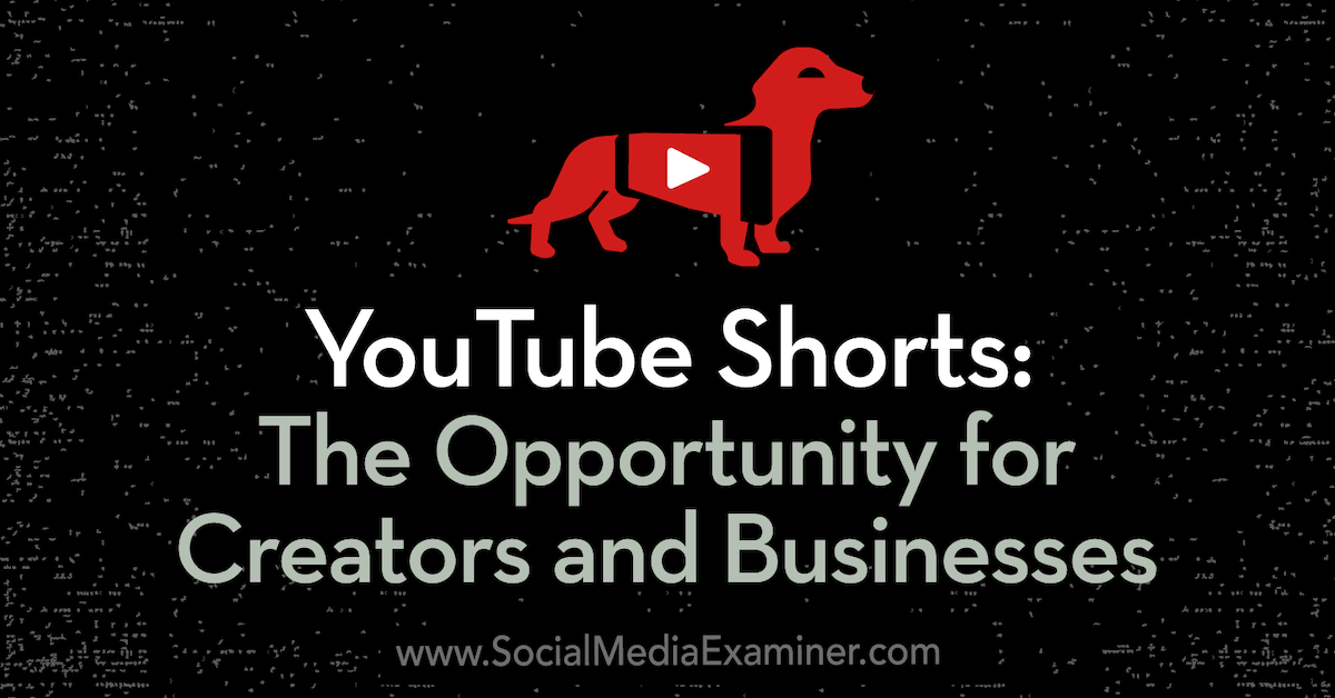 YouTube Shorts: The Opportunity for Creators and Businesses : Social