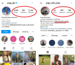 How to Attract the Right Followers on Instagram : Social Media Examiner
