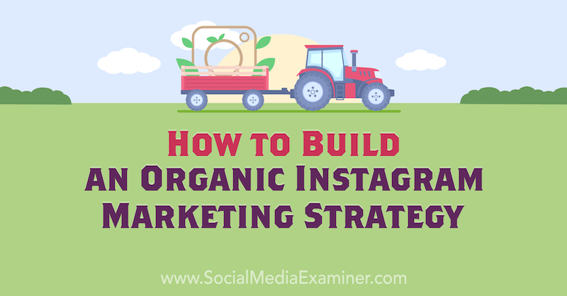 How to Build an Organic Instagram Marketing Strategy by Corinna Keefe on Social Media Examiner.