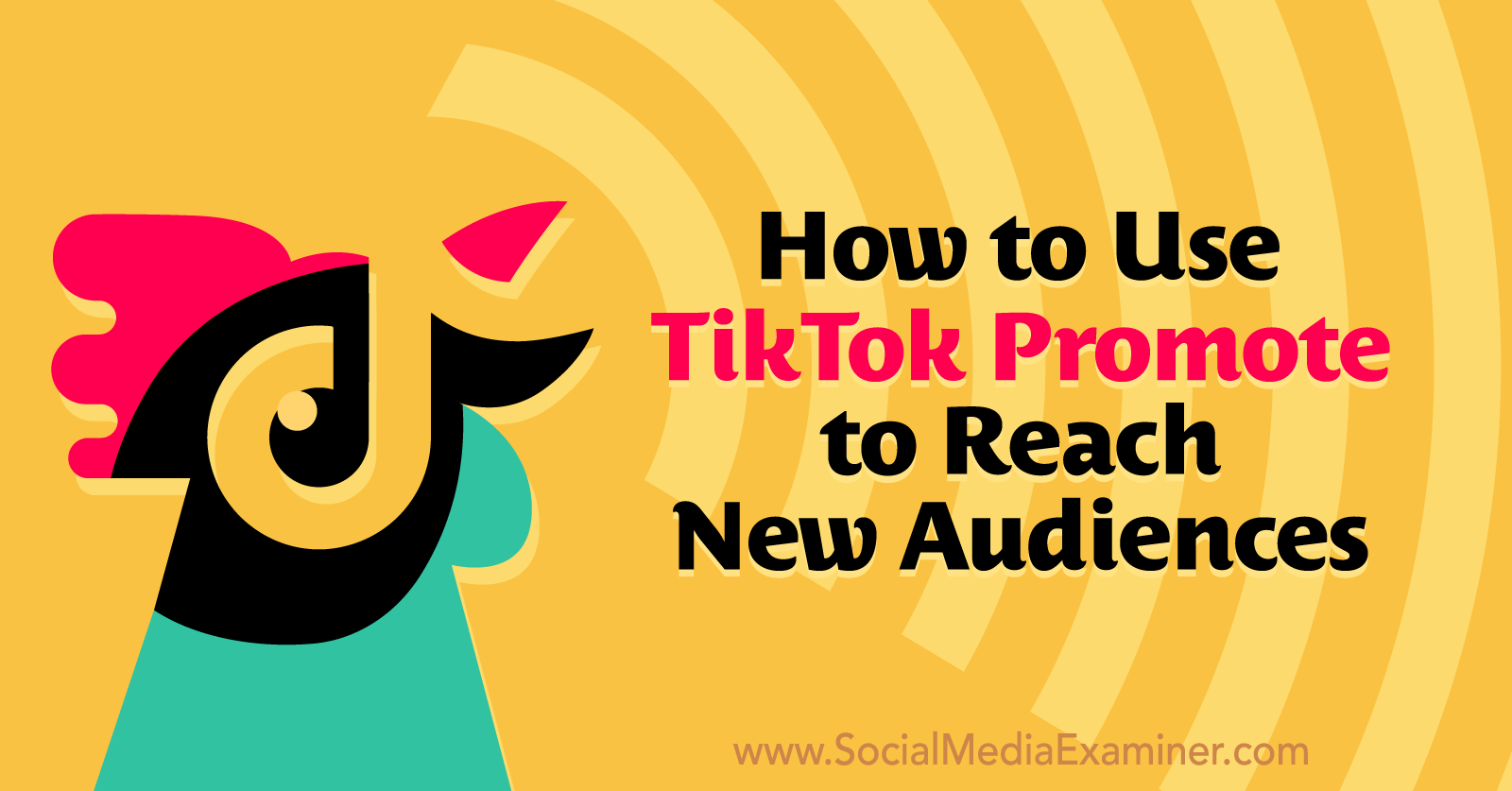 Optimizing for TikTok Search: How to Reach a Larger Audience 