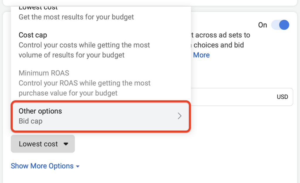 How to Choose the Right Facebook Ads Bidding Strategy Social