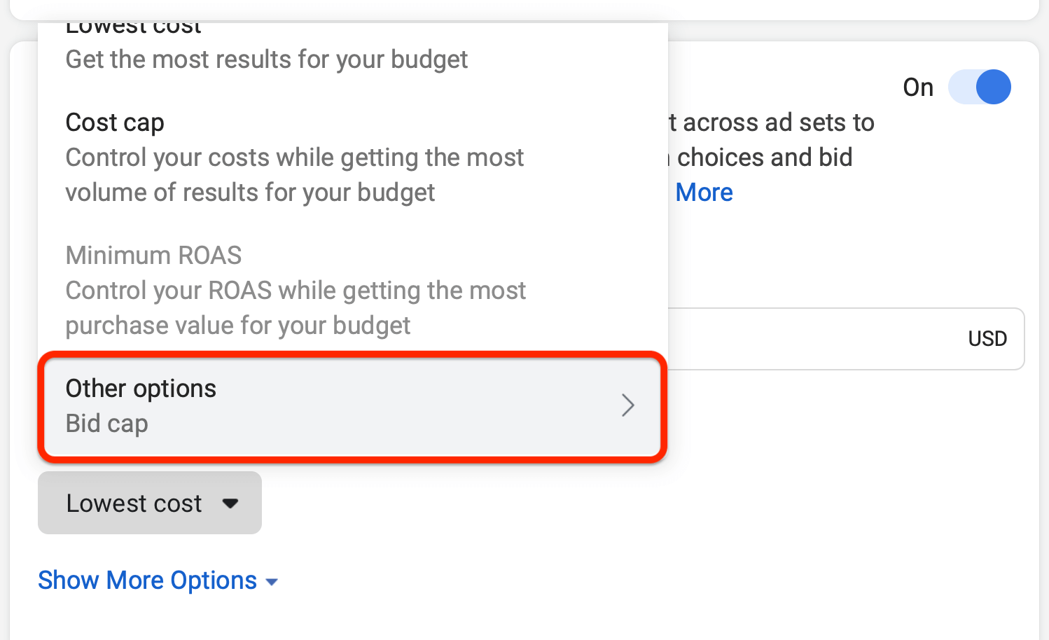 How to Choose the Right Facebook Ads Bidding Strategy Social Media