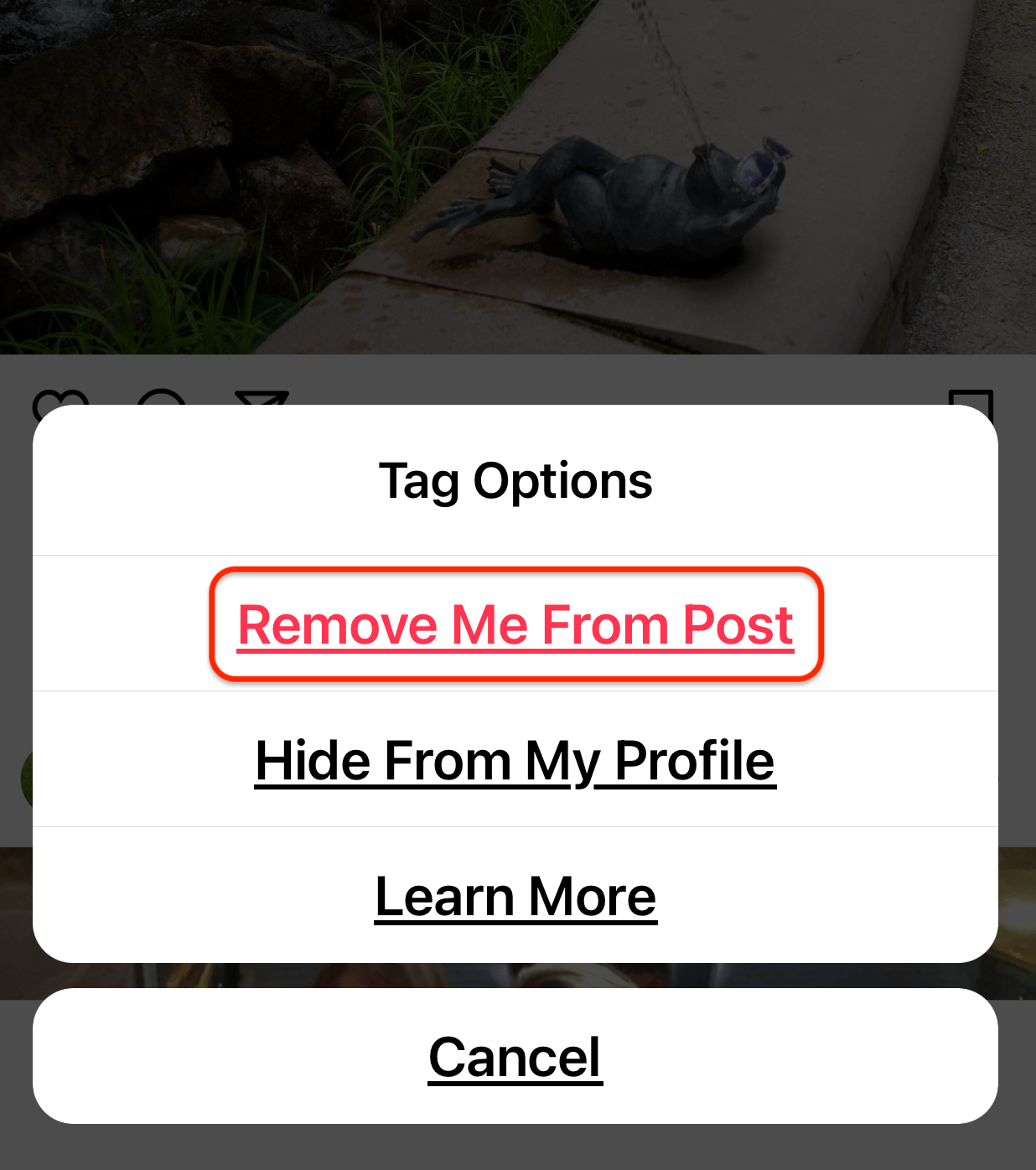 Feed? remove the did tagged List of