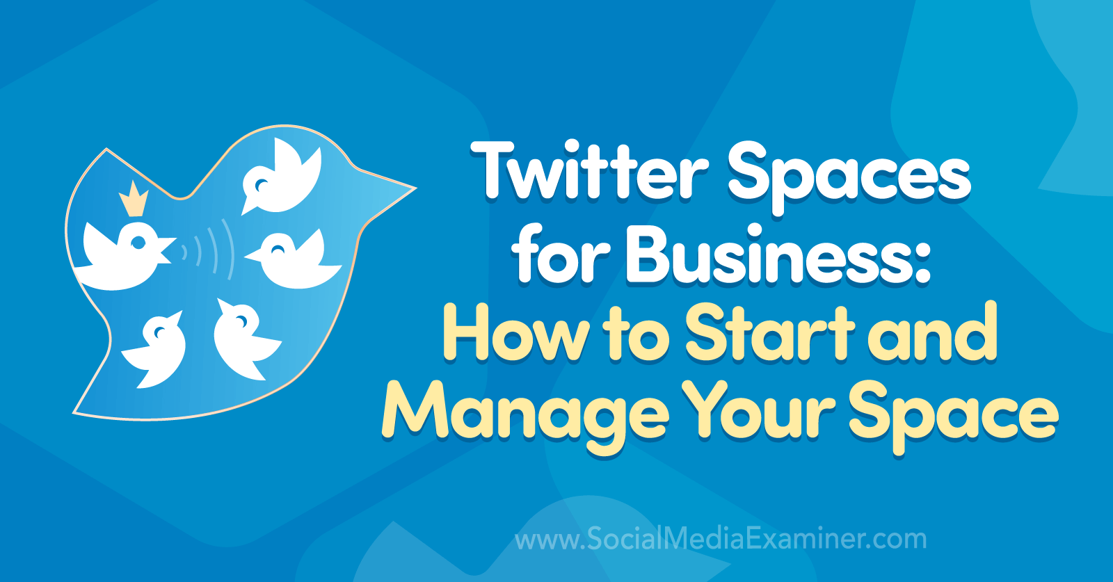 Twitter Spaces for Business: How to Start and Manage Your Space by Madalyn Sklar on Social Media Examiner.