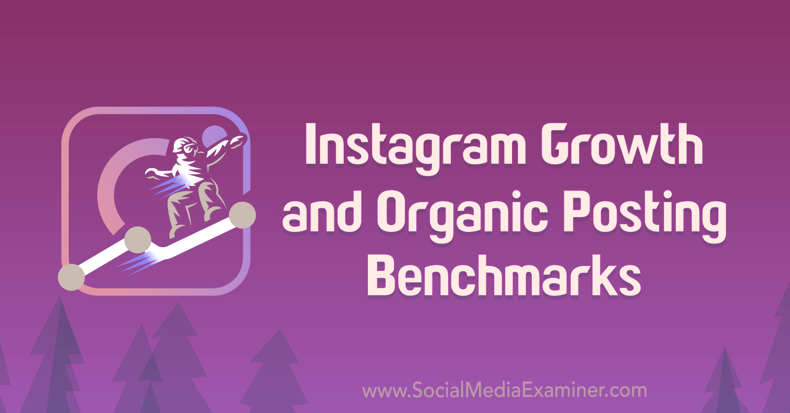 Instagram Growth and Organic Posting Benchmarks by Michael Stelzner
