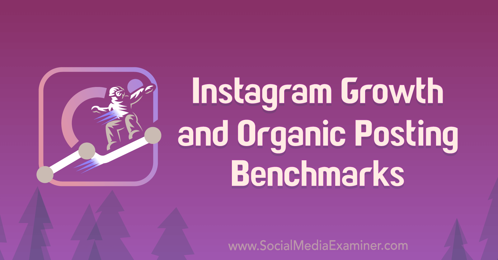 Instagram Growth and Organic Posting Benchmarks by Michael Stelzner