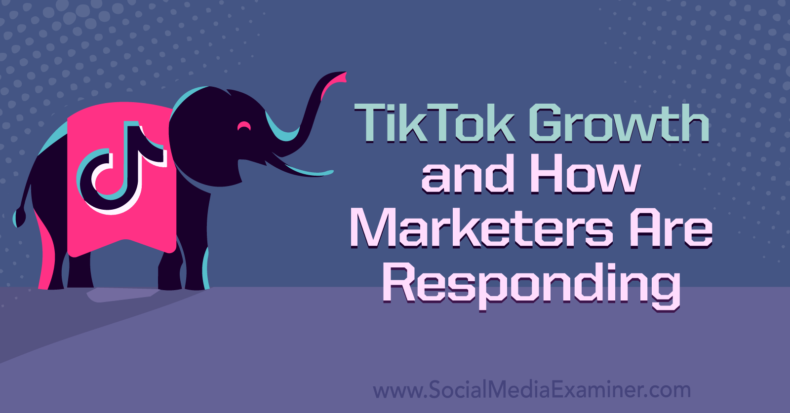 The 50+ Important TikTok Stats Marketers Need to Know