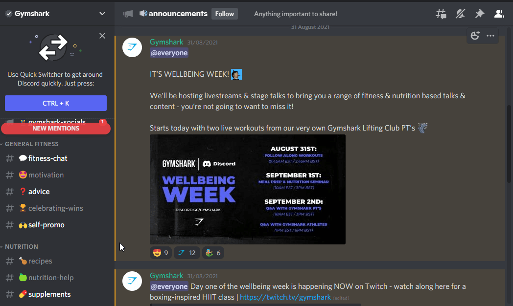 setup your new elegant discord server within 24 hours