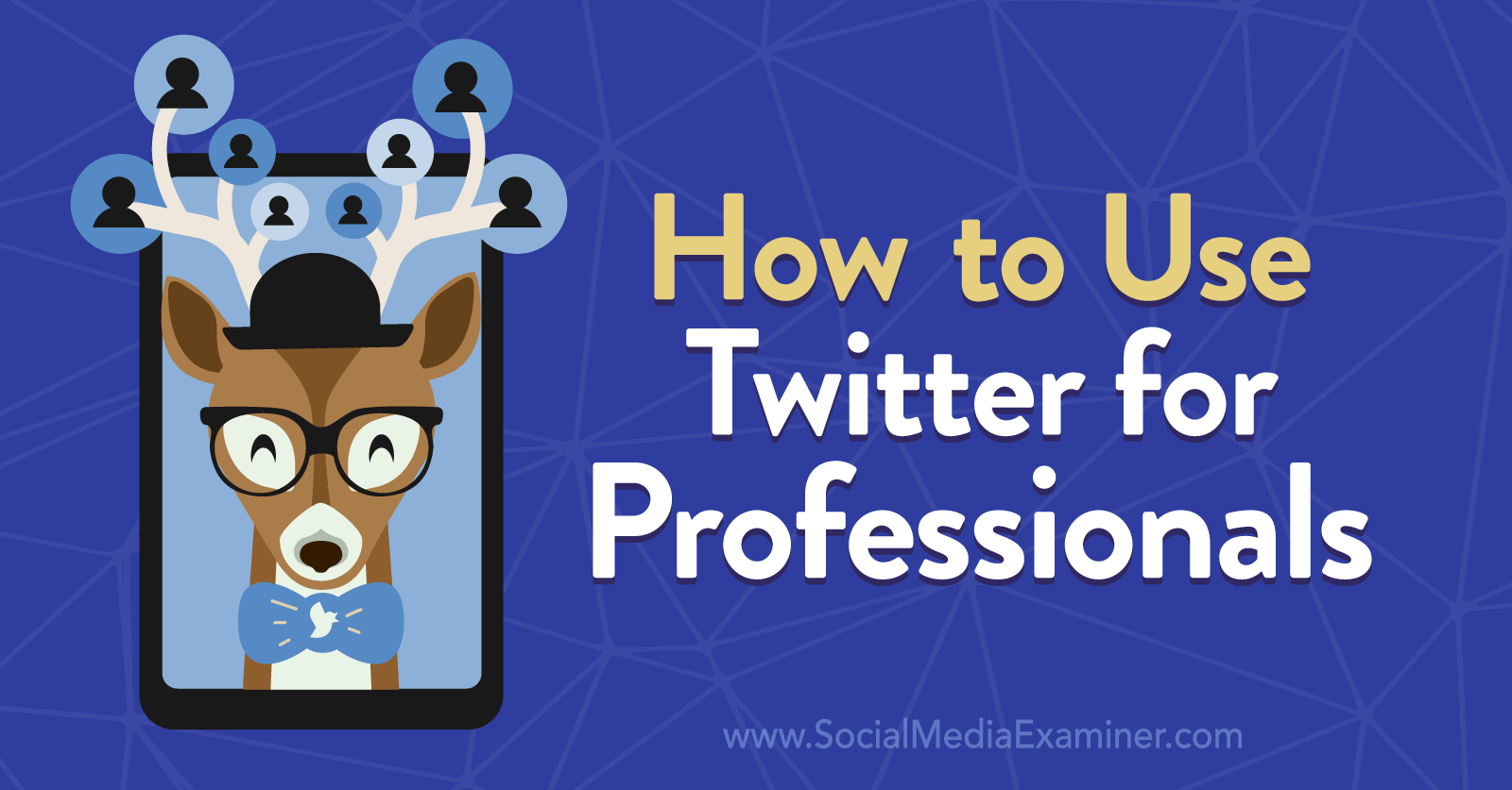 How to Use Twitter for Professionals by Anna Sonnenberg on Social Media Examiner.