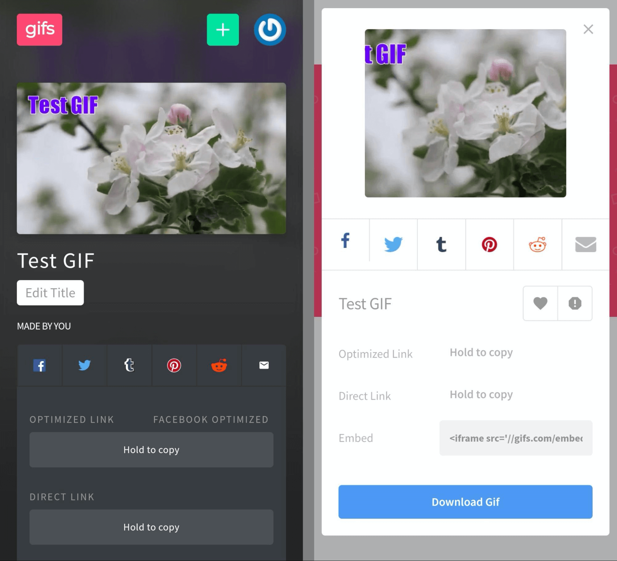 image of GIFs.com GIF creation tool