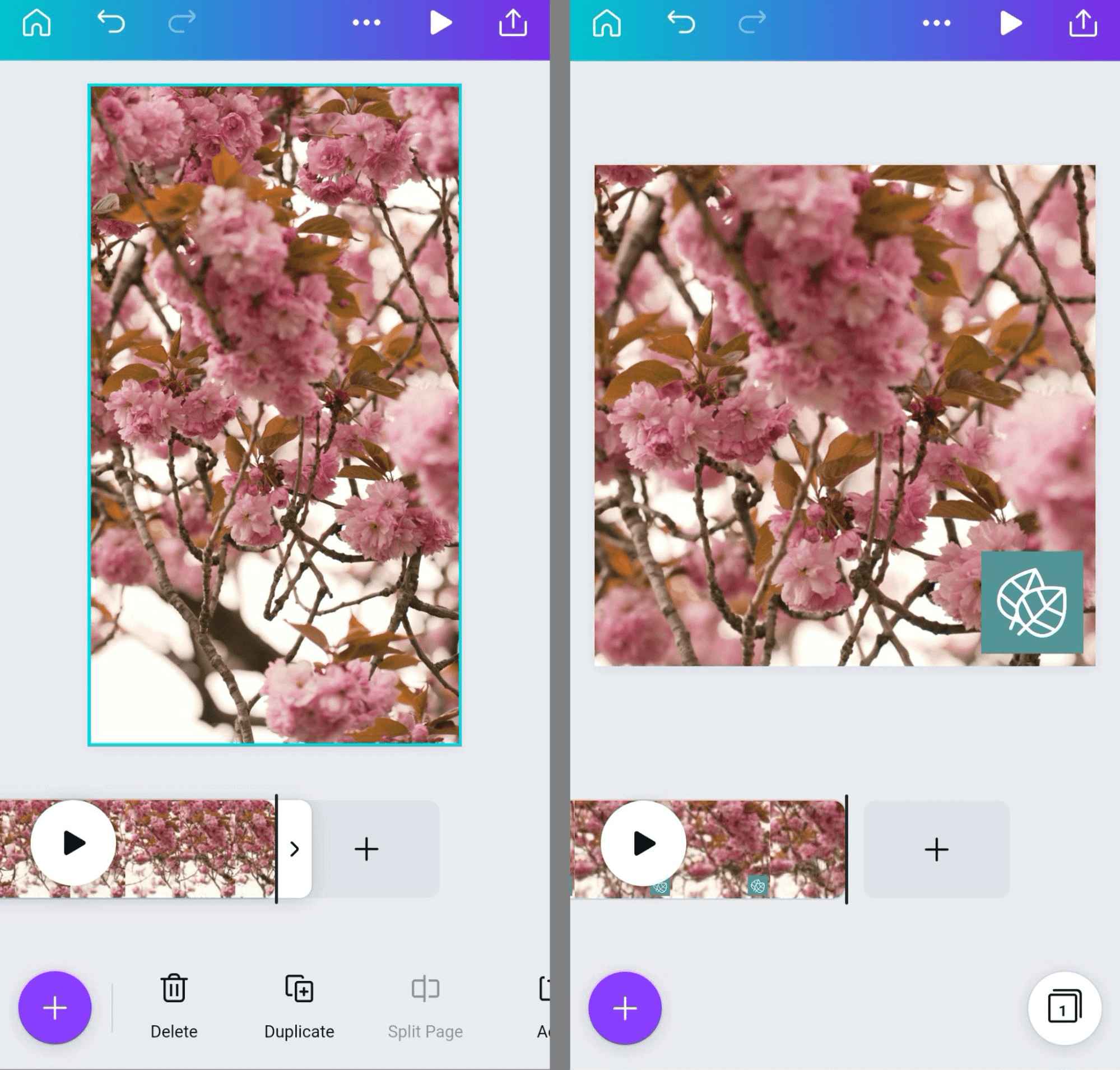 image of Canva GIF creation tool