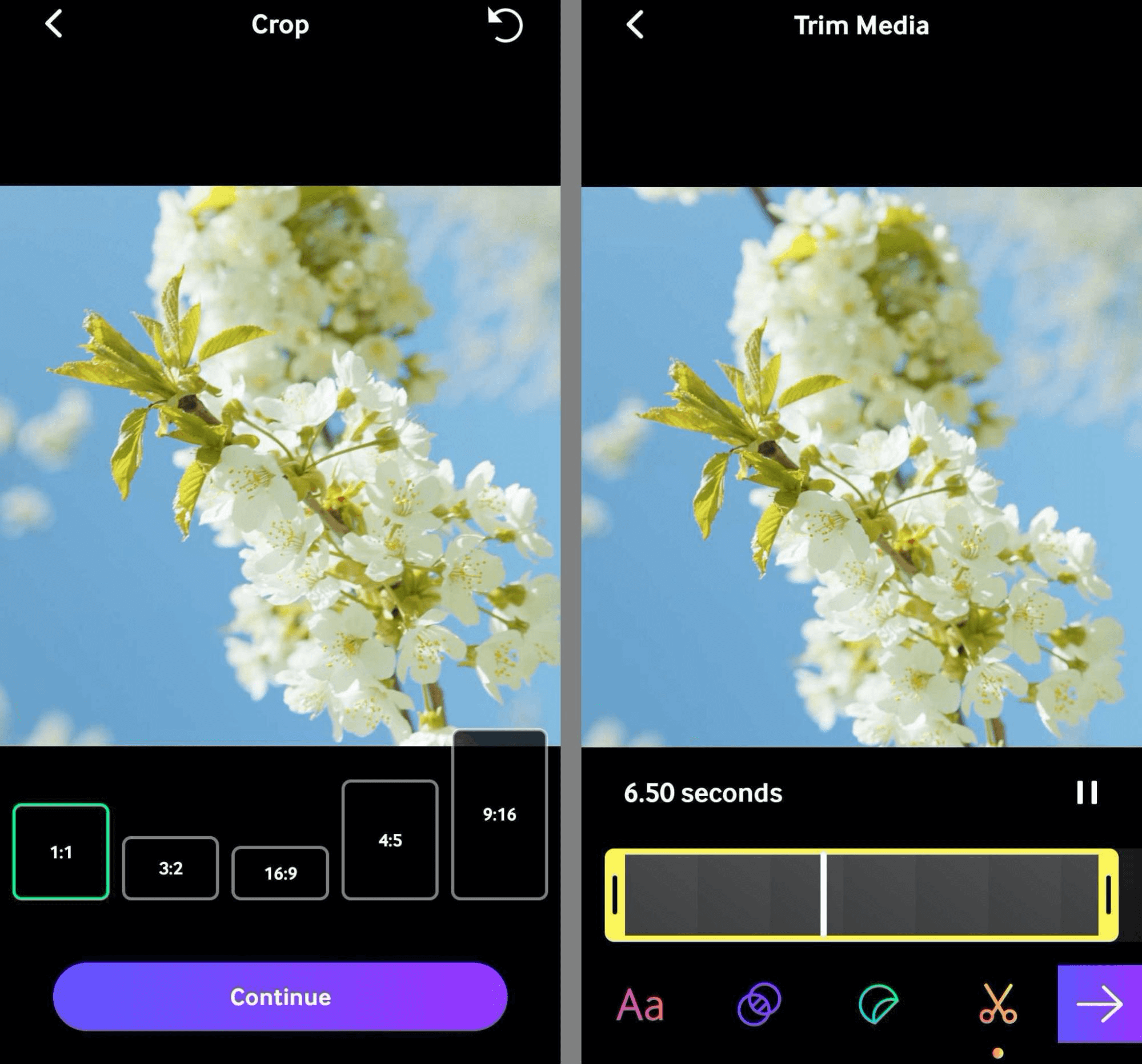 image of Giphy GIF creation tool