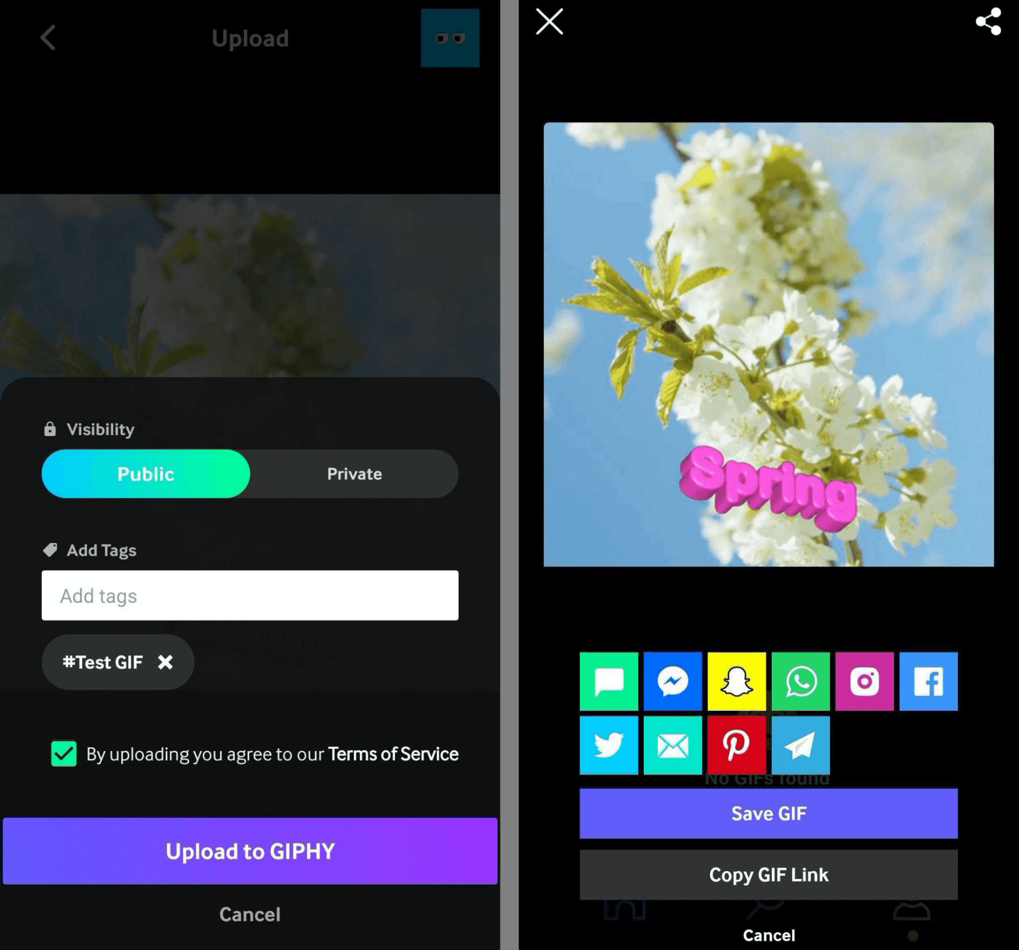 image of Giphy GIF creation tool