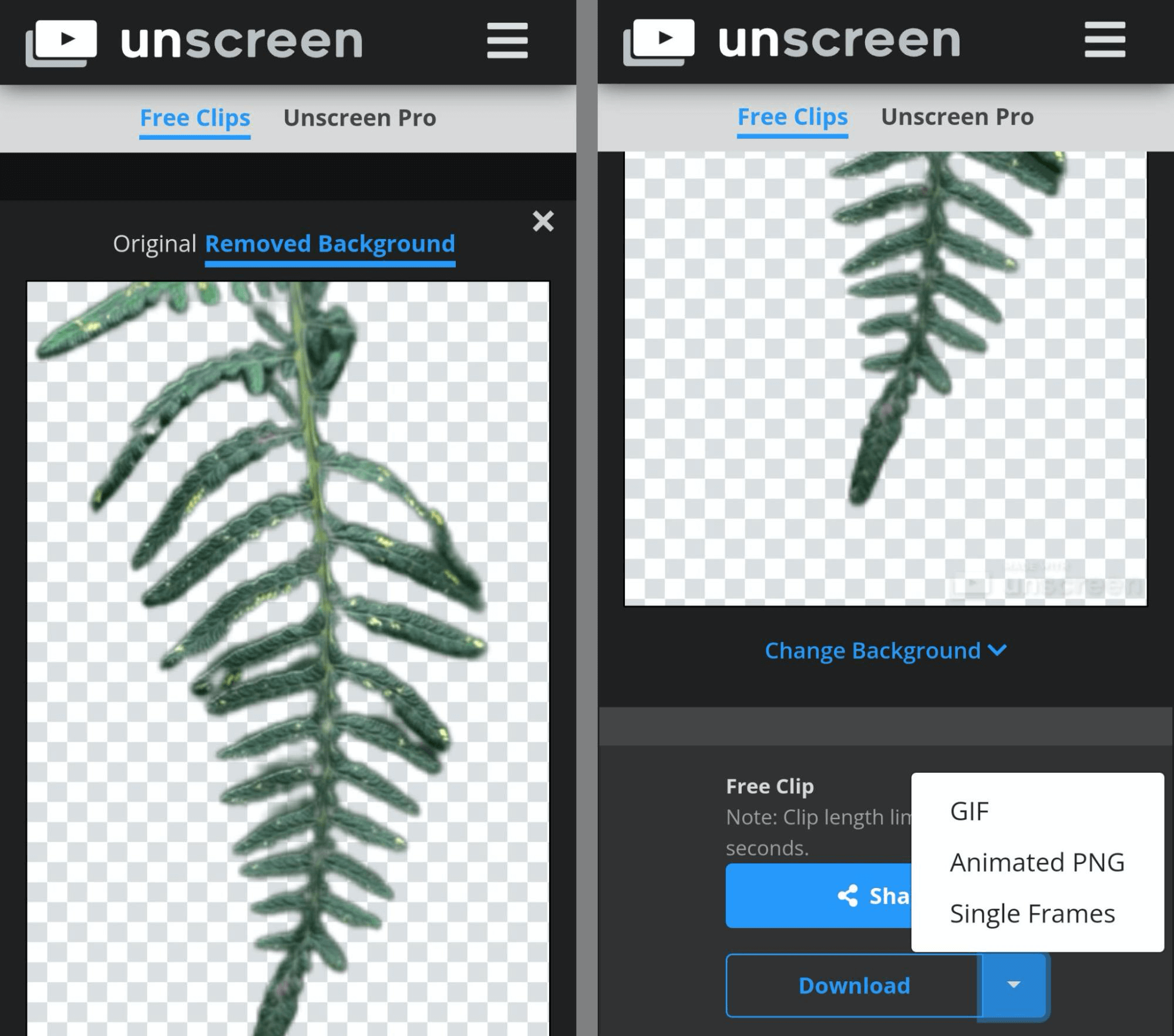 image of Unseen GIF creation tool