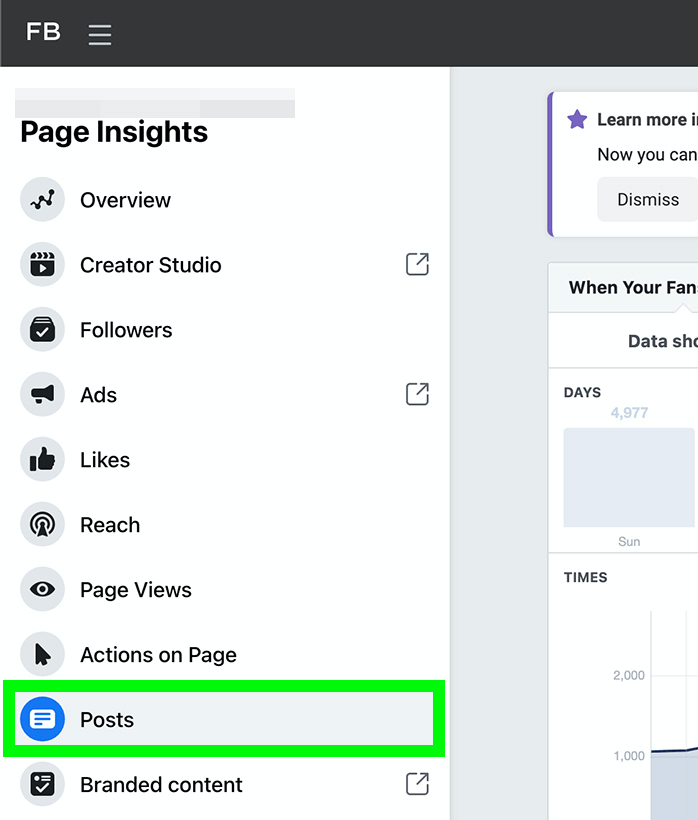 image of Posts option in Facebook Page Insights