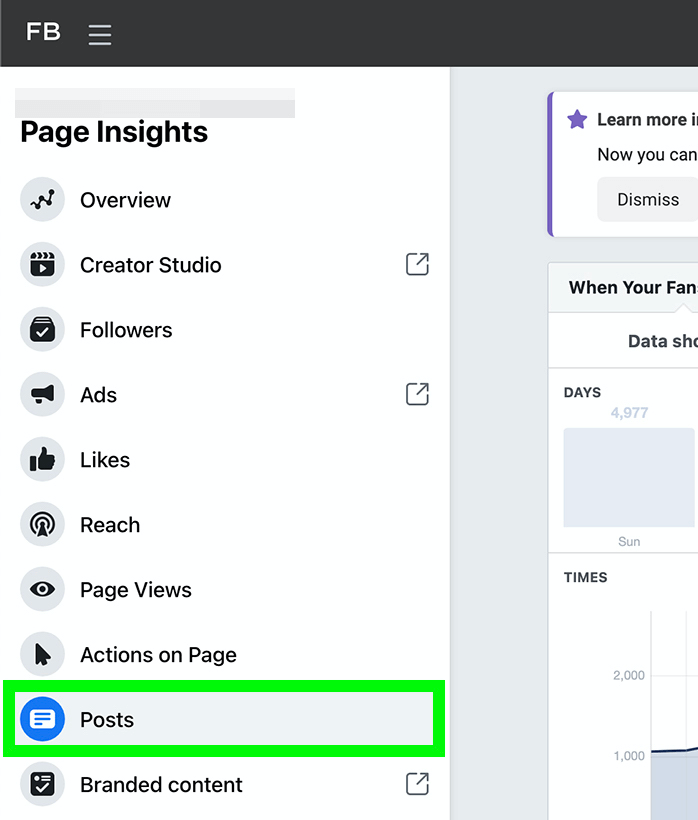 imagem da opção Postagens no Facebook Page Insights