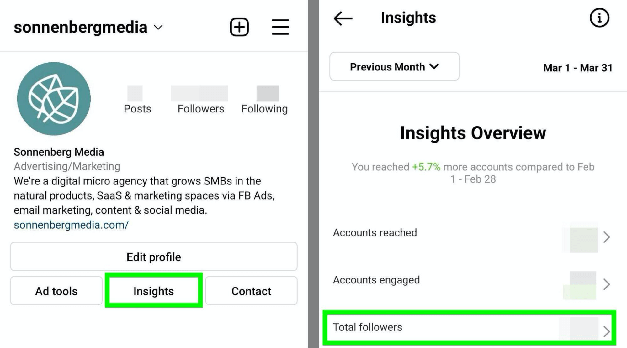image of Instagram Insights Total Followers option