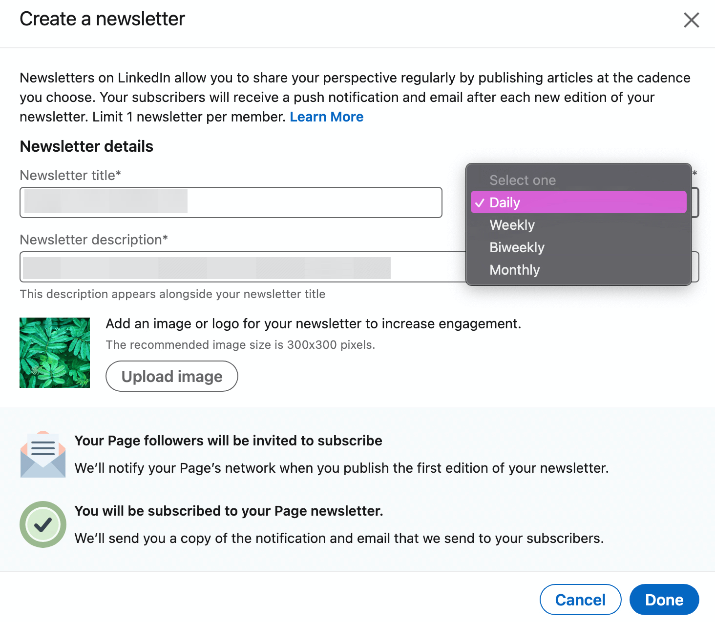 image of Create a Newsletter dialog box on LinkedIn