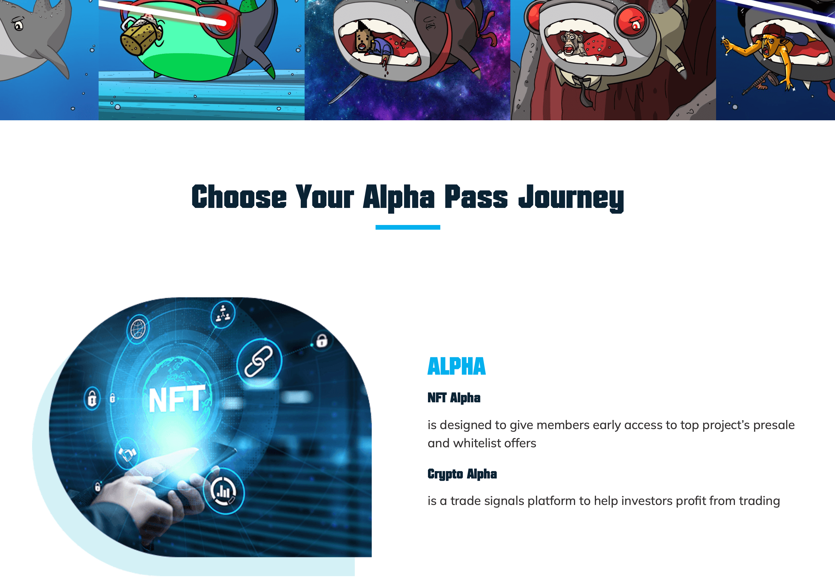 image of The Whale Sharks NFT project Alpha pass journey